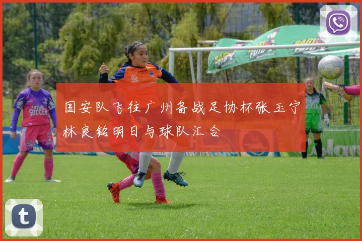 国安队飞往广州备战足协杯张玉宁林良铭明日与球队汇合