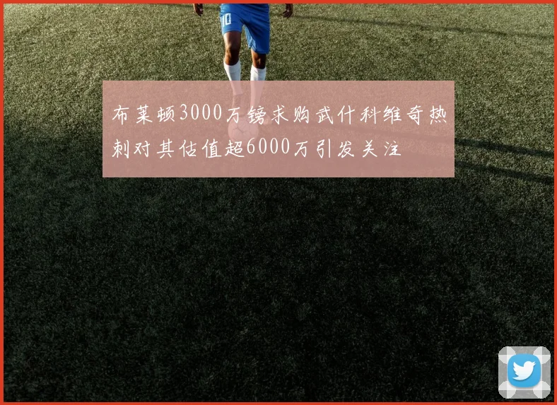 布莱顿3000万镑求购武什科维奇热刺对其估值超6000万引发关注